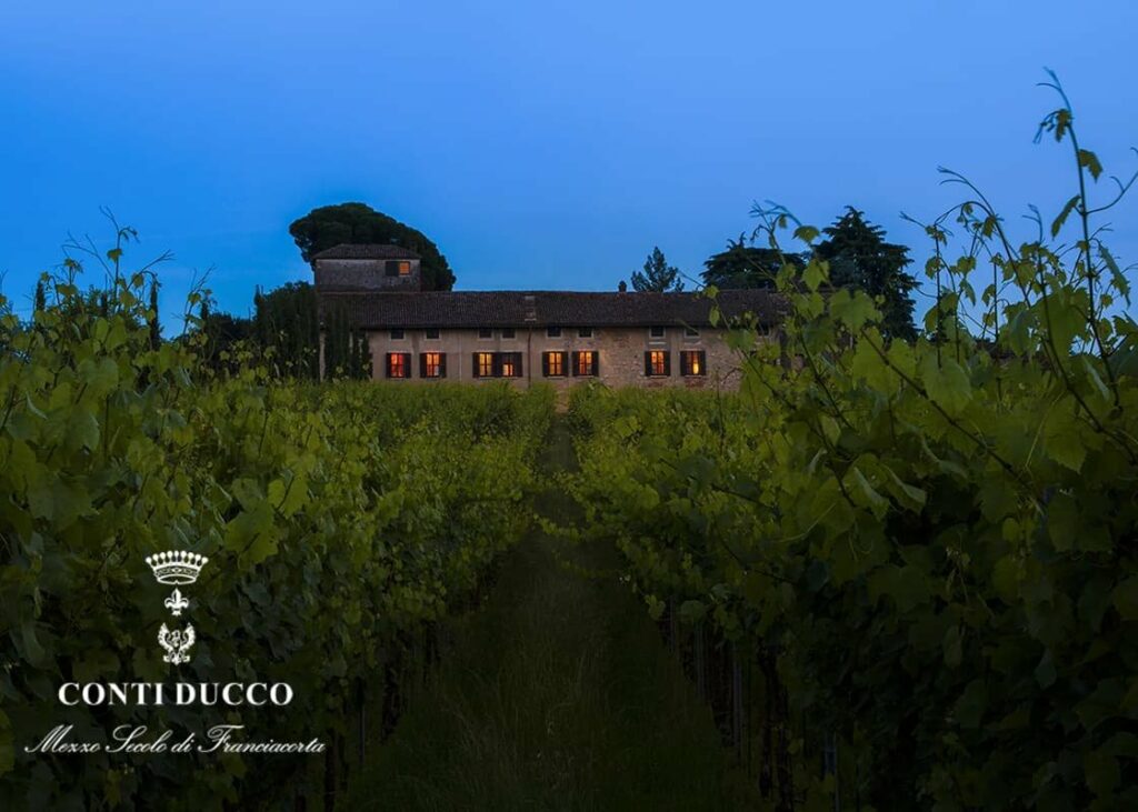 Con BitQ degustazioni e wine experience 3